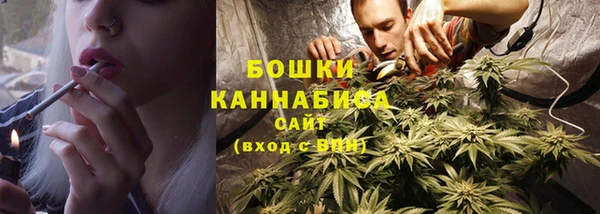 ПСИЛОЦИБИНОВЫЕ ГРИБЫ Лиски